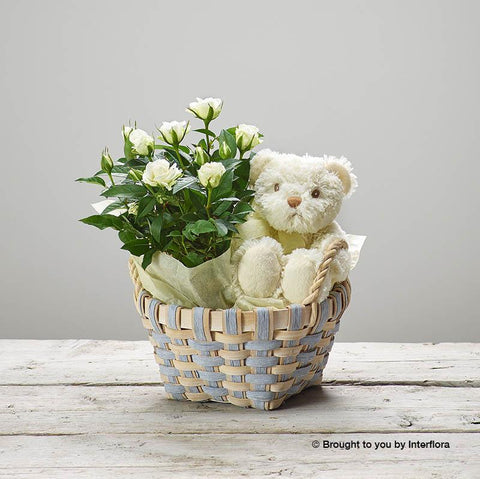 White Rose Baby Basket