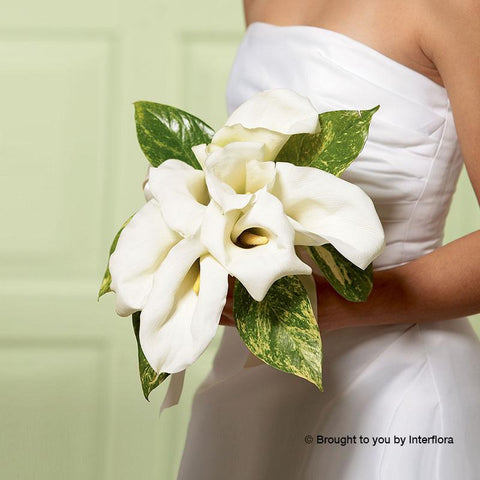 Chic White Calla Lily Deluxe Bridal Bouquet